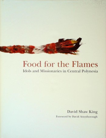 First  cover of 'FOOD FOR THE FLAMES.'