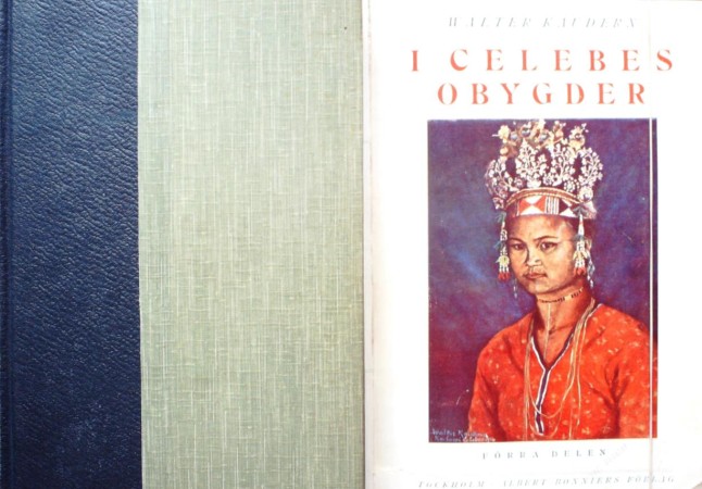 First  cover of 'I CELEBES OBYGDER. 2 Vols.'