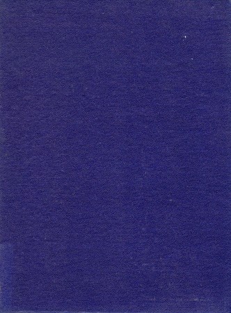 First  cover of 'INDIAN PAINTED AND PRINTED FABRICS.'