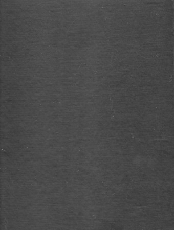 First  cover of 'THE ART OF THE NETSUKE CARVER.'